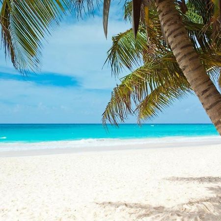 All Season Paradise In Cortez Bradenton Dış mekan fotoğraf