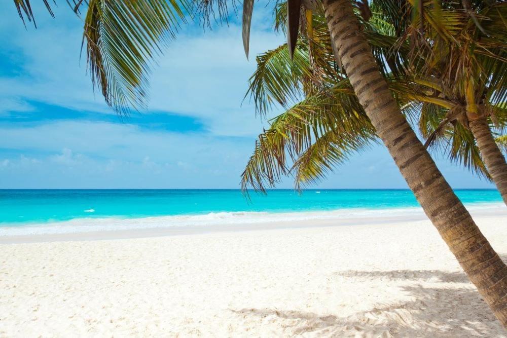 All Season Paradise In Cortez Bradenton Dış mekan fotoğraf